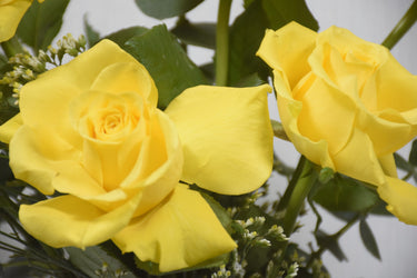 Yellow Rose Harmony: Elegant Floral Arrangement in Ceramic Vase